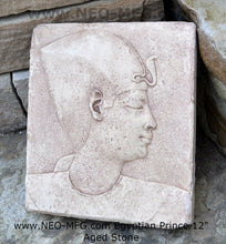 Load image into Gallery viewer, History Egyptian King Prince head Stela Fragment Sculptural wall relief plaque www.Neo-Mfg.com 12" h17