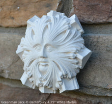 Load image into Gallery viewer, Nature Greenman Jack-O Green Man of Canterbury Cathedral's Black Prince's Chantry Roof Boss sculpture wall plaque 4" www.Neo-Mfg.com