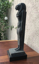 Load image into Gallery viewer, History Egyptian Goddess Bastet, Sekhmet of Piankhi Sculpture Statue 10" www.Neo-Mfg.com Museum Replica