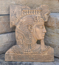 Load image into Gallery viewer, Egyptian King Tut Cameo Fragment Sculptural wall relief plaque www.Neo-Mfg.com 11" h14