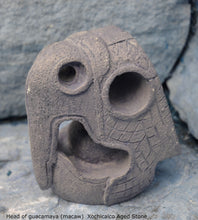 Load image into Gallery viewer, History Aztec Maya Head of guacamaya (macaw) from Xochicalco Sculpture Statue 4" Tall www.Neo-Mfg.com Museum reproduction