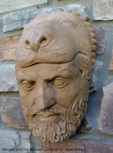 Load image into Gallery viewer, Hercules and The Nemean Lion bust Sculpture 12" www.Neo-Mfg.com home decor Museum Reproduction