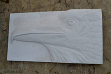Load image into Gallery viewer, Animal Raven bird Sculptural wall relief nature carving tile plaque www.Neo-Mfg.com 17"