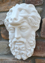 Load image into Gallery viewer, Hercules and The Nemean Lion bust Sculpture 12" www.Neo-Mfg.com home decor Museum Reproduction