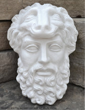 Load image into Gallery viewer, Hercules and The Nemean Lion bust Sculpture 12" www.Neo-Mfg.com home decor Museum Reproduction