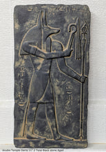 Load image into Gallery viewer, History Egyptian Anubis Temple Osiris Sculptural wall relief www.Neo-Mfg.com 11" e4
