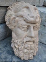 Load image into Gallery viewer, Hercules and The Nemean Lion bust Sculpture 12" www.Neo-Mfg.com home decor Museum Reproduction