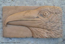 Load image into Gallery viewer, Animal Raven bird Sculptural wall relief nature carving tile plaque www.Neo-Mfg.com 17"