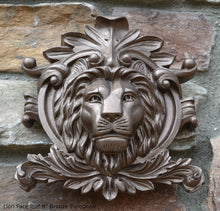 Load image into Gallery viewer, Animal Lion Face leaf plaque Fragment relief www.Neo-Mfg.com 8&quot; home decor b19
