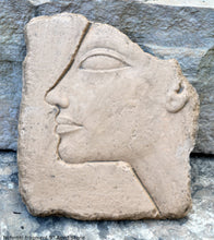Load image into Gallery viewer, History Egyptian Nefertiti fragment Plaque Artifact Sculpture 9" www.Neo-Mfg.com museum reproduction d11