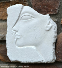 Load image into Gallery viewer, History Egyptian Nefertiti fragment Plaque Artifact Sculpture 9" www.Neo-Mfg.com museum reproduction d11