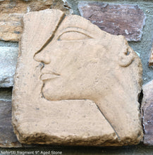 Load image into Gallery viewer, History Egyptian Nefertiti fragment Plaque Artifact Sculpture 9" www.Neo-Mfg.com museum reproduction d11