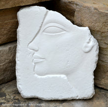 Load image into Gallery viewer, History Egyptian Nefertiti fragment Plaque Artifact Sculpture 9" www.Neo-Mfg.com museum reproduction d11