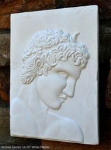 Load image into Gallery viewer, Roman Greek Hermes Cameo Sculptural wall relief plaque www.Neo-Mfg.com 10.25" home decor d21