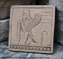 Load image into Gallery viewer, Assyrian Persian Winged Sphinx from the Palace of Darius Sculpture reproduction art 8" www.Neo-Mfg.com Museum Reproduction g26