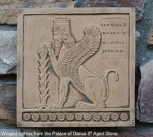 Load image into Gallery viewer, Assyrian Persian Winged Sphinx from the Palace of Darius Sculpture reproduction art 8" www.Neo-Mfg.com Museum Reproduction g26