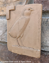 Load image into Gallery viewer, Egyptian Quail chick Sculpture reproduction art 5" www.Neo-Mfg.com home decor Museum k6