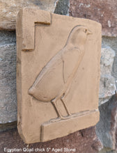 Load image into Gallery viewer, Egyptian Quail chick Sculpture reproduction art 5" www.Neo-Mfg.com home decor Museum k6