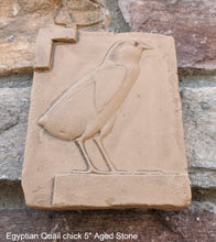 Load image into Gallery viewer, Egyptian Quail chick Sculpture reproduction art 5" www.Neo-Mfg.com home decor Museum k6