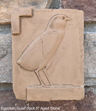 Load image into Gallery viewer, Egyptian Quail chick Sculpture reproduction art 5" www.Neo-Mfg.com home decor Museum k6
