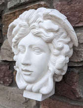 Load image into Gallery viewer, Medusa Bust design Artifact Carved Sculpture Statue 9" www.Neo-Mfg.com