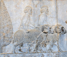 Load image into Gallery viewer, Historical Assyrian wall Sculpture www.Neo-Mfg.com 12" Mesopotamia