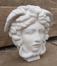 Load image into Gallery viewer, Medusa Bust design Artifact Carved Sculpture Statue 9" www.Neo-Mfg.com