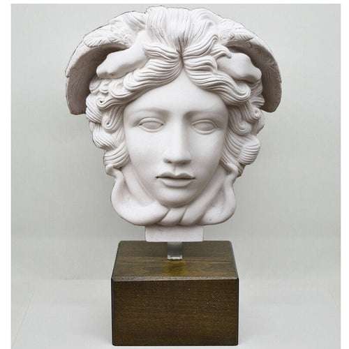 History Medusa Rondanini Bust design Artifact Carved Sculpture Statue 13