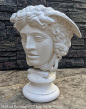 Load image into Gallery viewer, History Medusa Rondanini Bust design Artifact Carved Sculpture Statue 17" www.Neo-Mfg.com on base