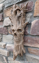 Load image into Gallery viewer, Greenman Whispering Wilhelm green man OLD Tree Sculptural wall relief carving plaque www.Neo-Mfg.com 19"