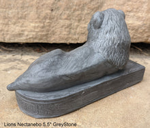 Load image into Gallery viewer, History Egyptian Lions of Nectanebo Statue Sculpture www.NEO-MFG.com 5.5"
