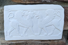 Load image into Gallery viewer, Roman Greek Sphinx Winged Human headed & Griffin headed lion Sculptural wall relief plaque www.Neo-Mfg.com 7" Museum reproduction k28
