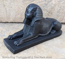 Load image into Gallery viewer, Egyptian Sphinx King Thutmosis Sculpture Statue 12" museum reproduction