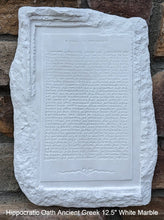 Load image into Gallery viewer, Hippocratic Oath Ancient Greek sculpture Wall plaque relief art www.Neo-Mfg.com home decor 12.5"