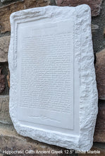 Load image into Gallery viewer, Hippocratic Oath Ancient Greek sculpture Wall plaque relief art www.Neo-Mfg.com home decor 12.5"