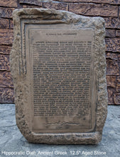 Load image into Gallery viewer, Hippocratic Oath Ancient Greek sculpture Wall plaque relief art www.Neo-Mfg.com home decor 12.5"