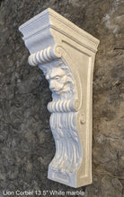 Load image into Gallery viewer, Lion Face narrow thin Corbel scroll bracket Architectural accent 13.5" www.Neo-Mfg.com Home decor