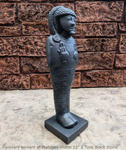 Load image into Gallery viewer, Egyptian Funerary servant of Ptahmes shabti Artifact Carved Sculpture Statue 12" www.Neo-Mfg.com Museum Reproduction