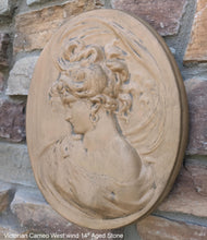 Load image into Gallery viewer, Victorian Cameo silhouette West Wind Sculpture wall Plaque Bas relief 14" www.Neo-Mfg.com left face c11