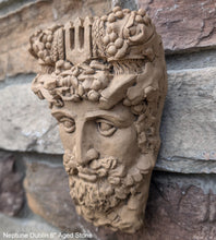 Load image into Gallery viewer, Roman Greek Neptune Face Wall Mythical Plaque Sculptural relief www.Neo-Mfg.com 6" Customs House Dublin