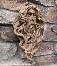 Load image into Gallery viewer, Nature Garden Greenman Grape Harvest Sculptural wall relief bust www.Neo-Mfg.com 13.75"