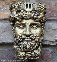 Load image into Gallery viewer, Roman Greek Neptune Face Wall Mythical Plaque Sculptural relief www.Neo-Mfg.com 6" Customs House Dublin