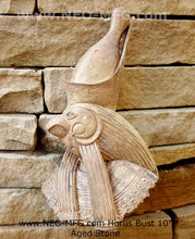 Load image into Gallery viewer, History Egyptian Horus Falcon God Fragment carving Sculptural wall relief plaque www.Neo-Mfg.com 10"