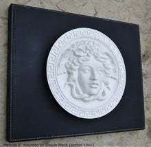 Load image into Gallery viewer, History Medusa Versace design Artifact Carved Sculpture Statue 8" www.Neo-Mfg.com Mounted on Plaque