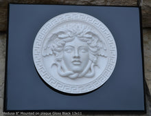 Load image into Gallery viewer, History Medusa Versace design Artifact Carved Sculpture Statue 8" www.Neo-Mfg.com Mounted on Plaque
