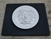 Load image into Gallery viewer, History Medusa Versace design Artifact Carved Sculpture Statue 8" www.Neo-Mfg.com Mounted on Plaque