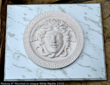 Load image into Gallery viewer, History Medusa Versace design Artifact Carved Sculpture Statue 8" www.Neo-Mfg.com Mounted on Plaque