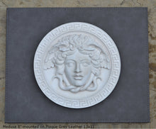 Load image into Gallery viewer, History Medusa Versace design Artifact Carved Sculpture Statue 8&quot; www.Neo-Mfg.com Mounted on Plaque
