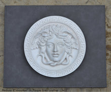 Load image into Gallery viewer, History Medusa Versace design Artifact Carved Sculpture Statue 8" www.Neo-Mfg.com Mounted on Plaque