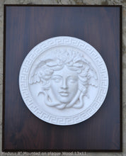 Load image into Gallery viewer, History Medusa Versace design Artifact Carved Sculpture Statue 8" www.Neo-Mfg.com Mounted on Plaque